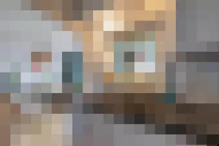 Het Noord 4 Drachten thumbnail 15