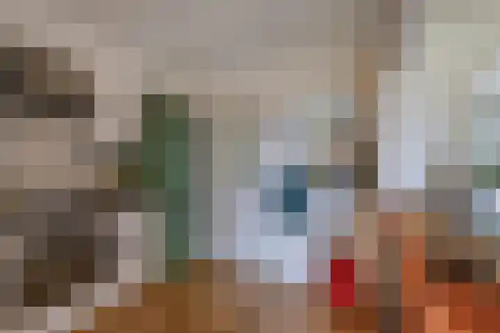 Het Noord 4 Drachten thumbnail 18