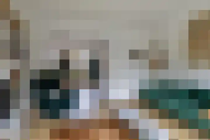 Het Noord 4 Drachten thumbnail 25