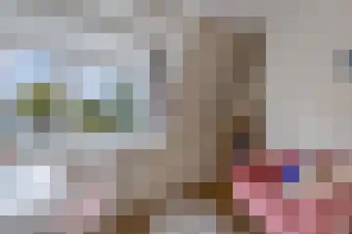 Het Noord 4 Drachten thumbnail 36