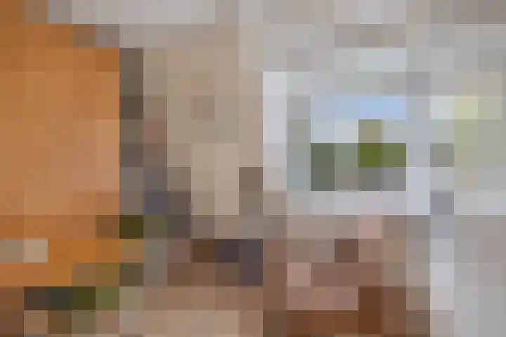 Het Noord 4 Drachten thumbnail 38