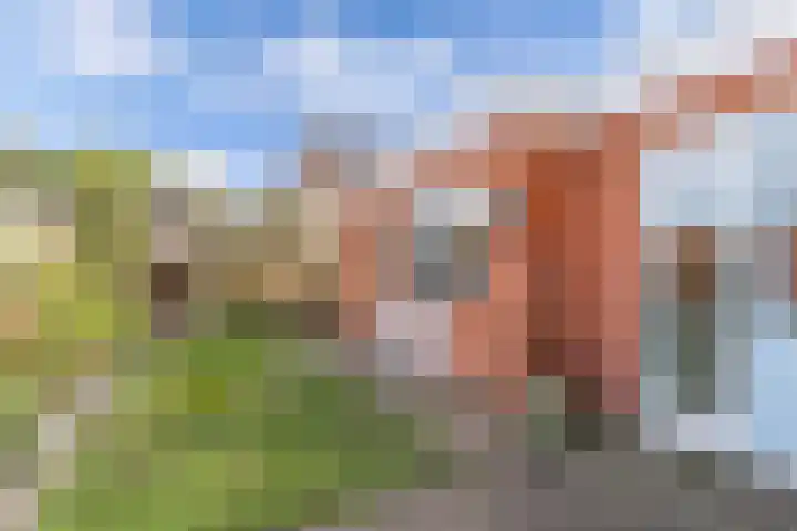 Het Noord 4 Drachten thumbnail 44