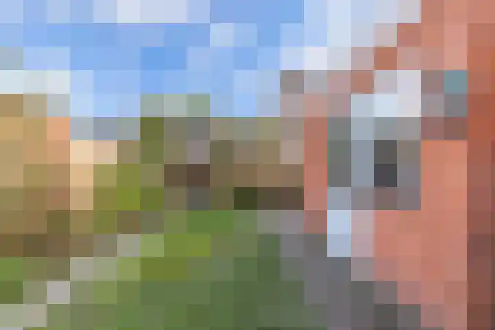 Het Noord 4 Drachten thumbnail 45