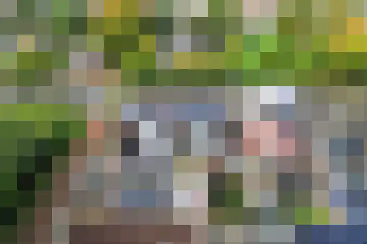 Het Noord 4 Drachten thumbnail 47