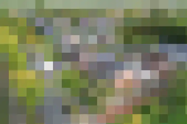 Het Noord 4 Drachten thumbnail 49