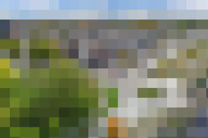 Het Noord 4 Drachten thumbnail 51