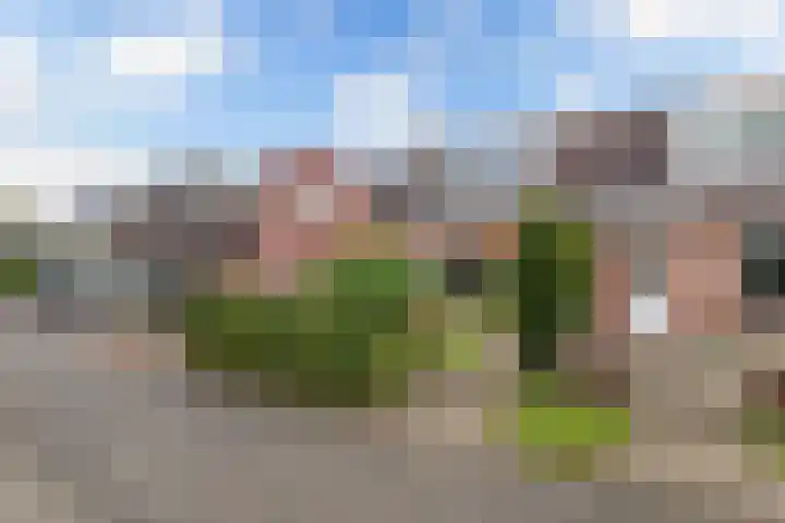 Het Noord 4 Drachten thumbnail 6
