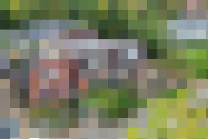 Het Noord 4 Drachten thumbnail 7