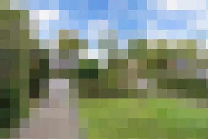 Het Noord 4 Drachten thumbnail 8