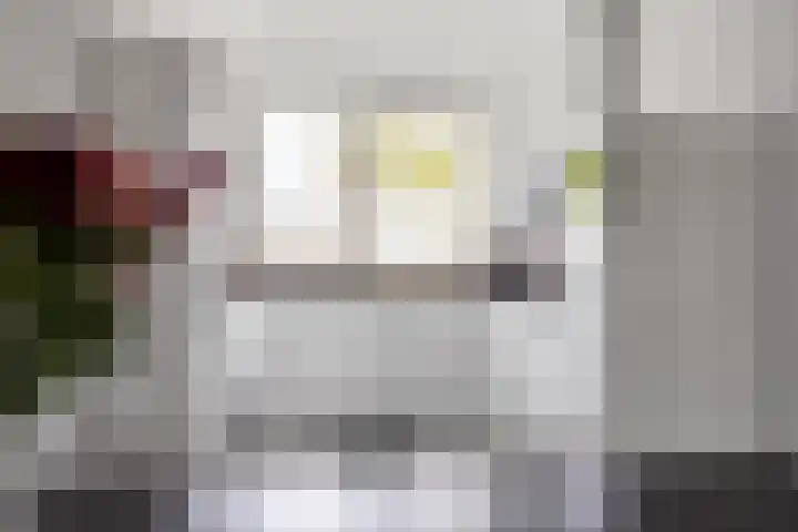 Het Noorderlicht 10 Zuidhorn thumbnail 11