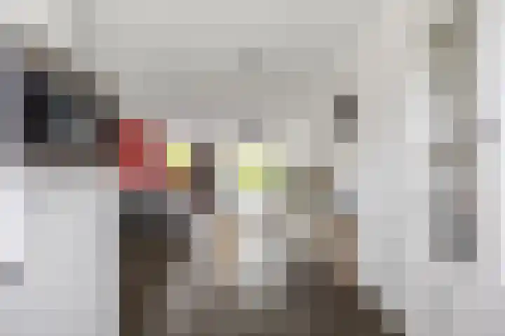 Het Noorderlicht 10 Zuidhorn thumbnail 14