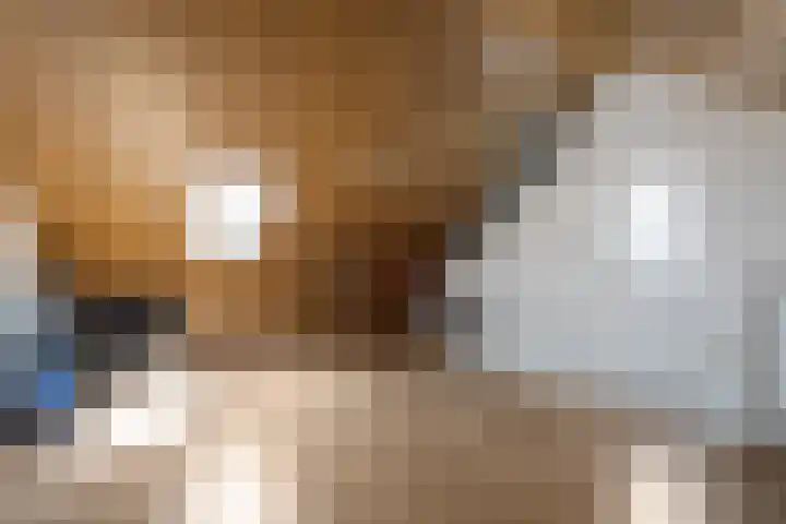 Het Noorderlicht 10 Zuidhorn thumbnail 20