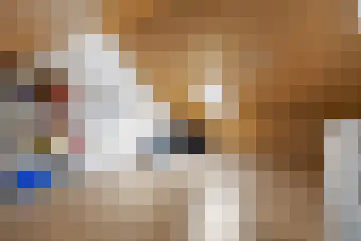 Het Noorderlicht 10 Zuidhorn thumbnail 21