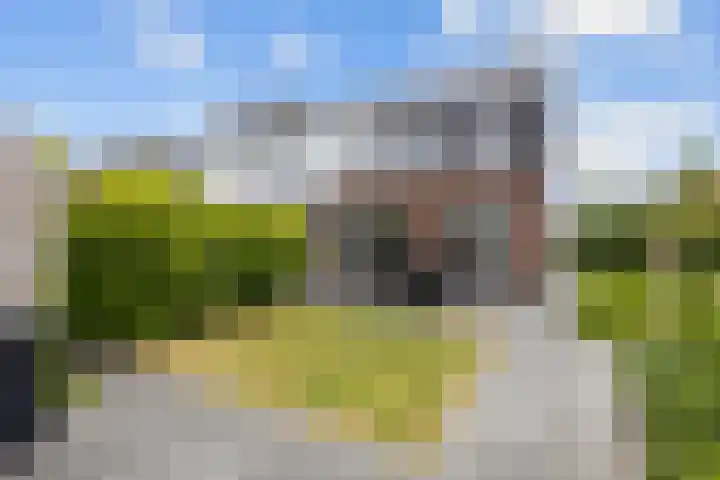 Het Noorderlicht 10 Zuidhorn thumbnail 22
