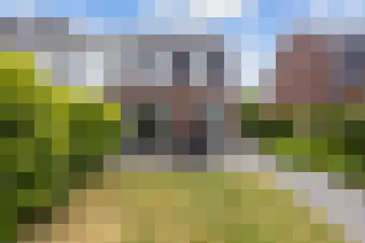 Het Noorderlicht 10 Zuidhorn thumbnail 23