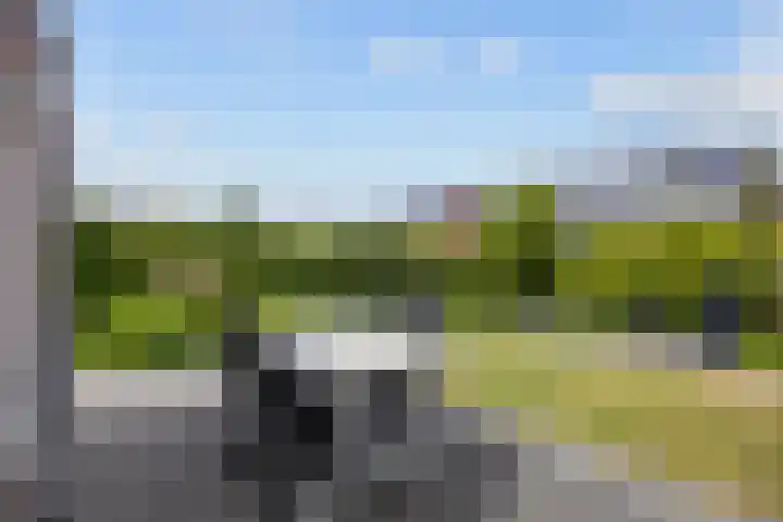 Het Noorderlicht 10 Zuidhorn thumbnail 25