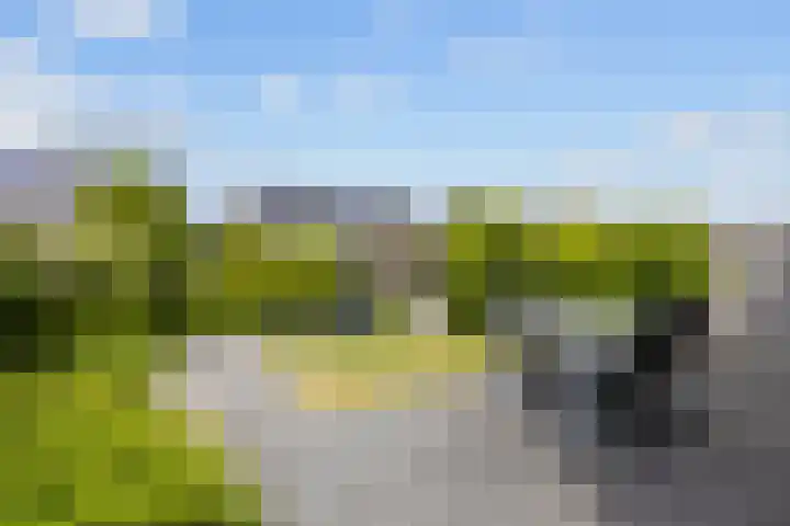 Het Noorderlicht 10 Zuidhorn thumbnail 26