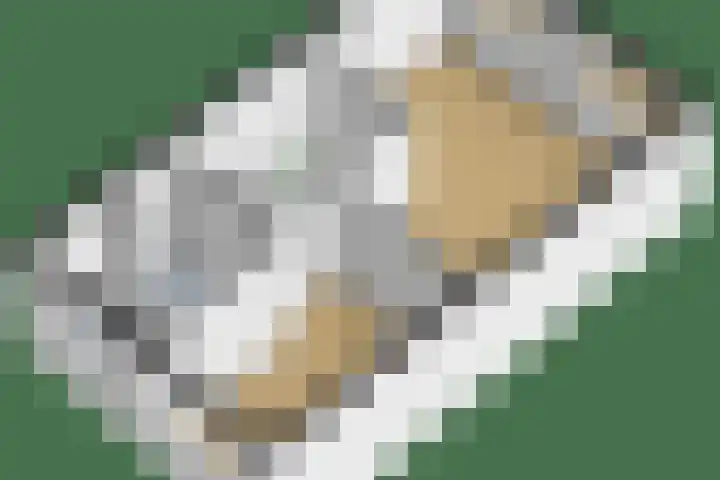 Het Noorderlicht 10 Zuidhorn thumbnail 31