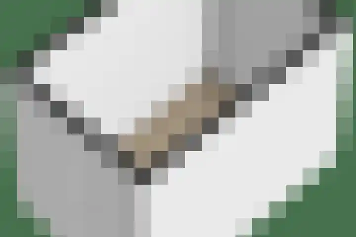 Het Noorderlicht 10 Zuidhorn thumbnail 35