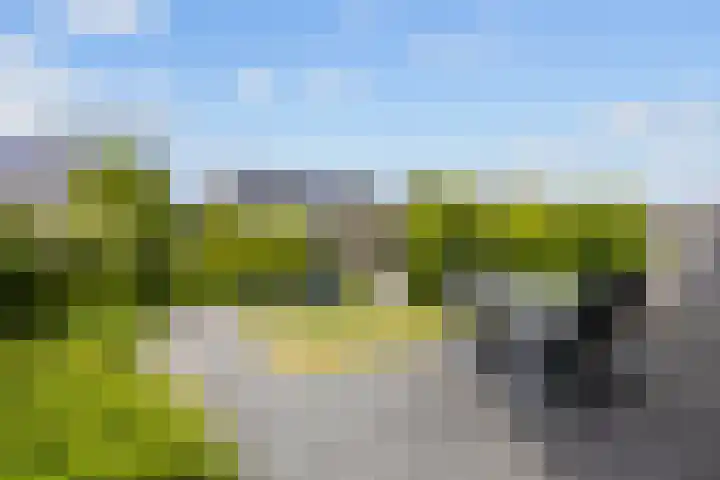 Het Noorderlicht 10 Zuidhorn thumbnail 4