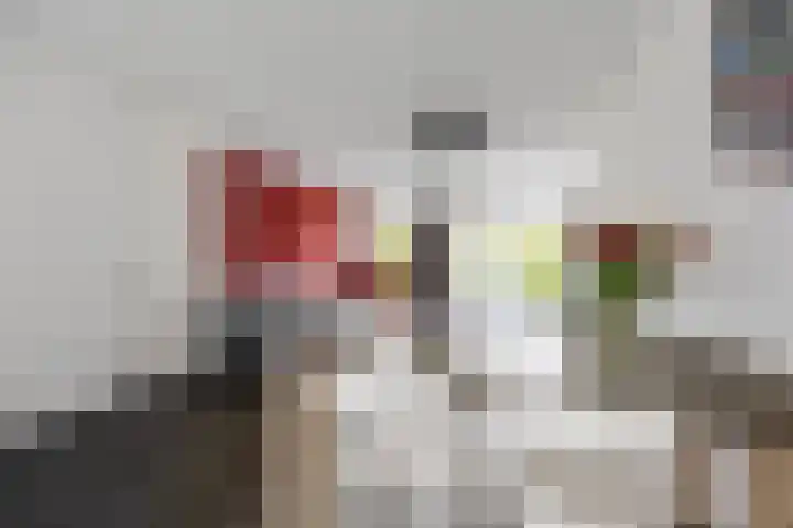 Het Noorderlicht 10 Zuidhorn thumbnail 7