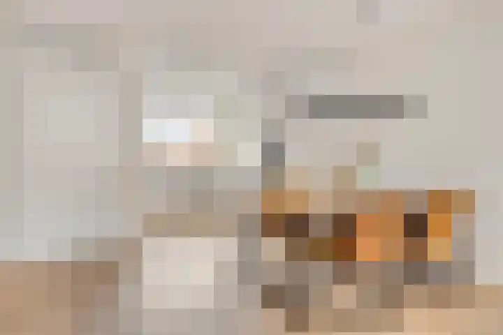 Het Noorderlicht 14 Zuidhorn thumbnail 11