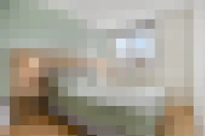 Het Noorderlicht 14 Zuidhorn thumbnail 13