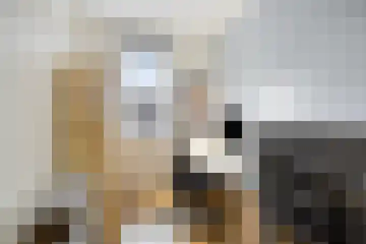 Het Noorderlicht 14 Zuidhorn thumbnail 19