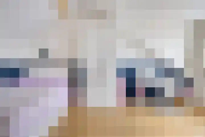 Het Noorderlicht 14 Zuidhorn thumbnail 20