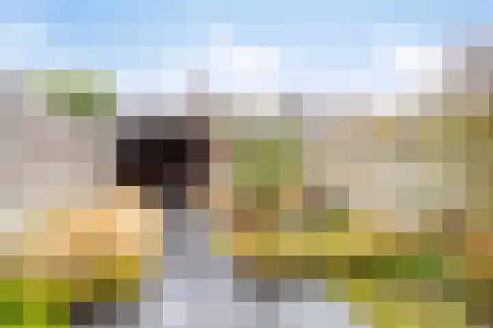 Het Noorderlicht 14 Zuidhorn thumbnail 23