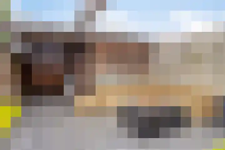 Het Noorderlicht 14 Zuidhorn thumbnail 24