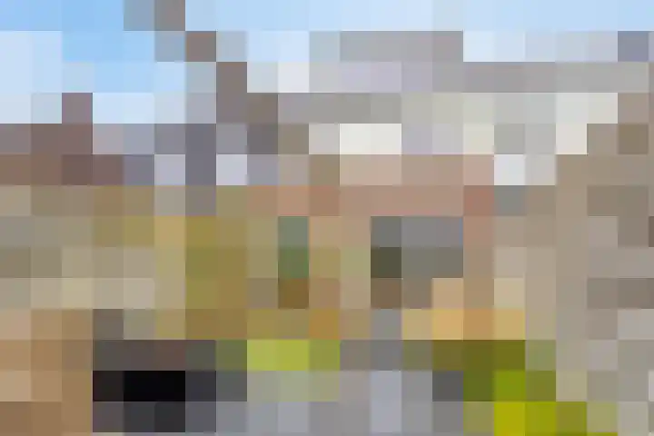 Het Noorderlicht 14 Zuidhorn thumbnail 25
