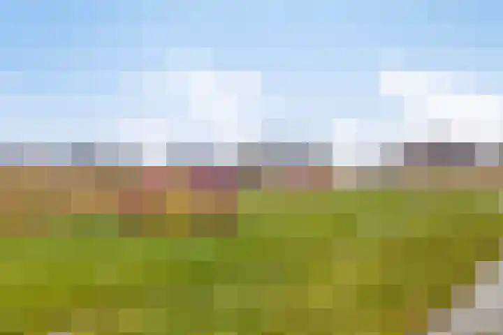 Het Noorderlicht 14 Zuidhorn thumbnail 28