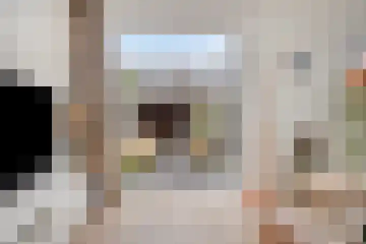 Het Noorderlicht 14 Zuidhorn thumbnail 7