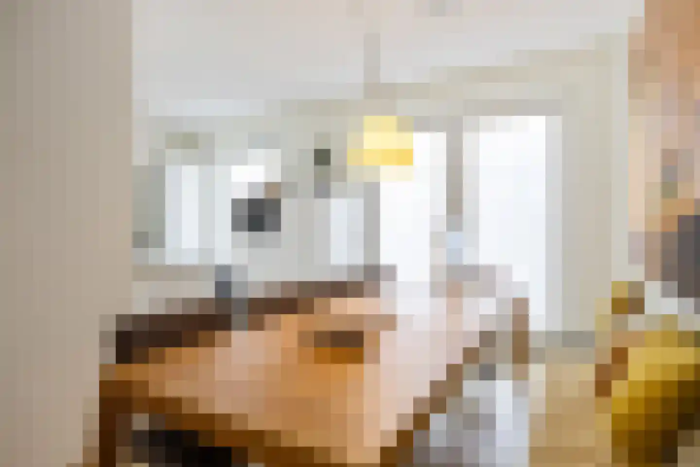 Het Noorderlicht 18 Zuidhorn thumbnail 13