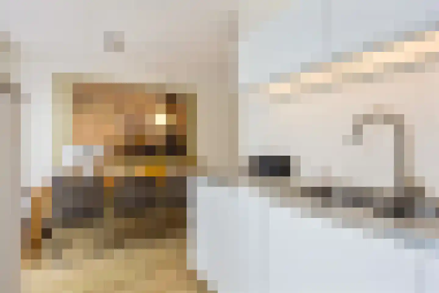 Het Noorderlicht 18 Zuidhorn thumbnail 16