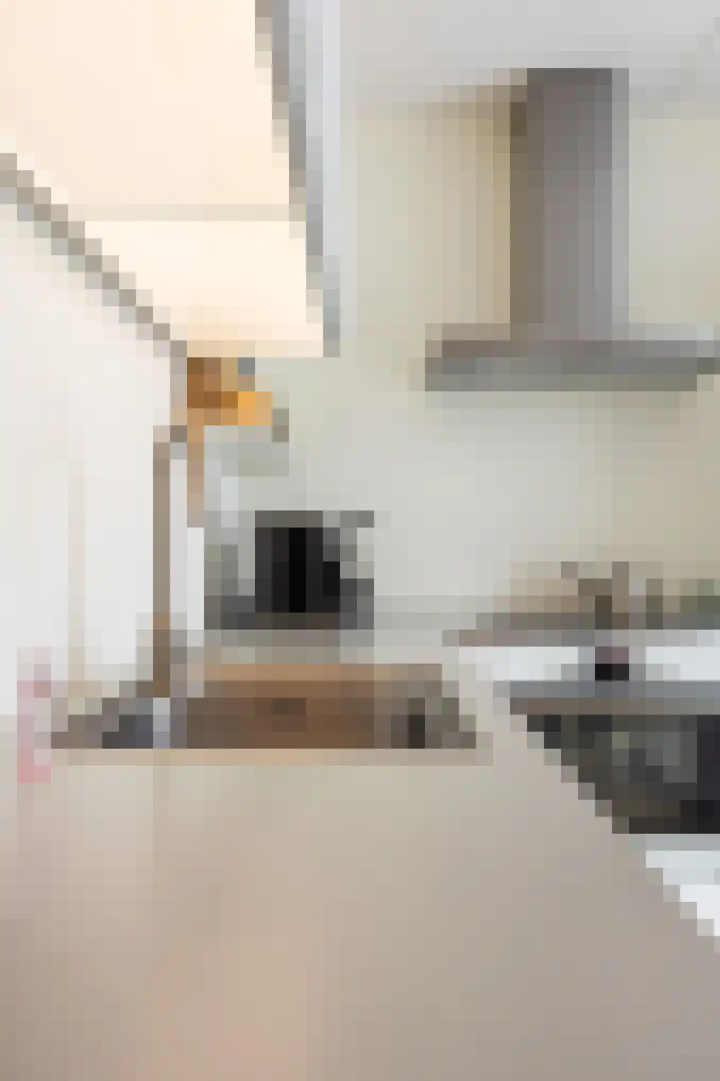 Het Noorderlicht 18 Zuidhorn thumbnail 20