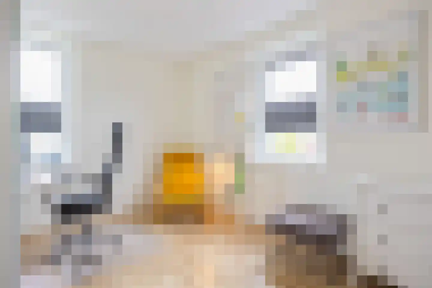 Het Noorderlicht 18 Zuidhorn thumbnail 29