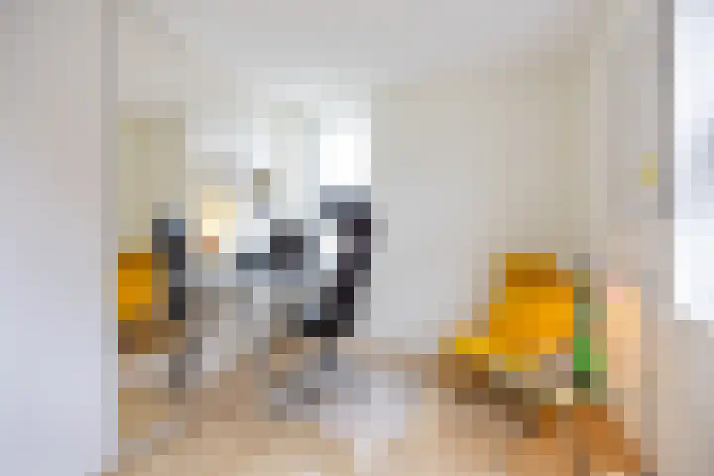 Het Noorderlicht 18 Zuidhorn thumbnail 30
