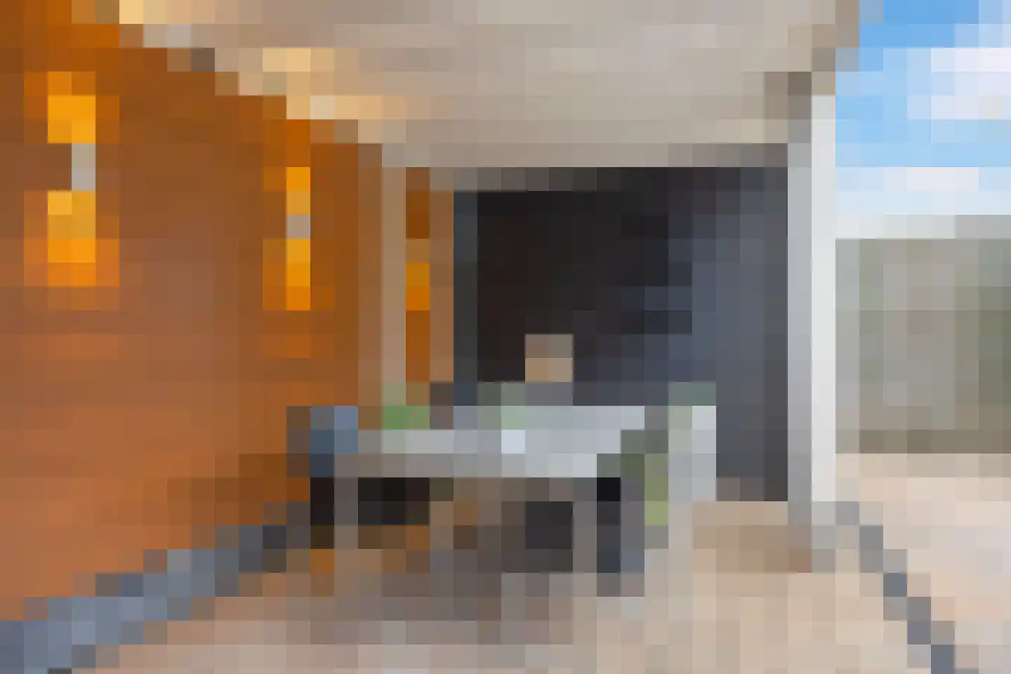 Het Noorderlicht 18 Zuidhorn thumbnail 43