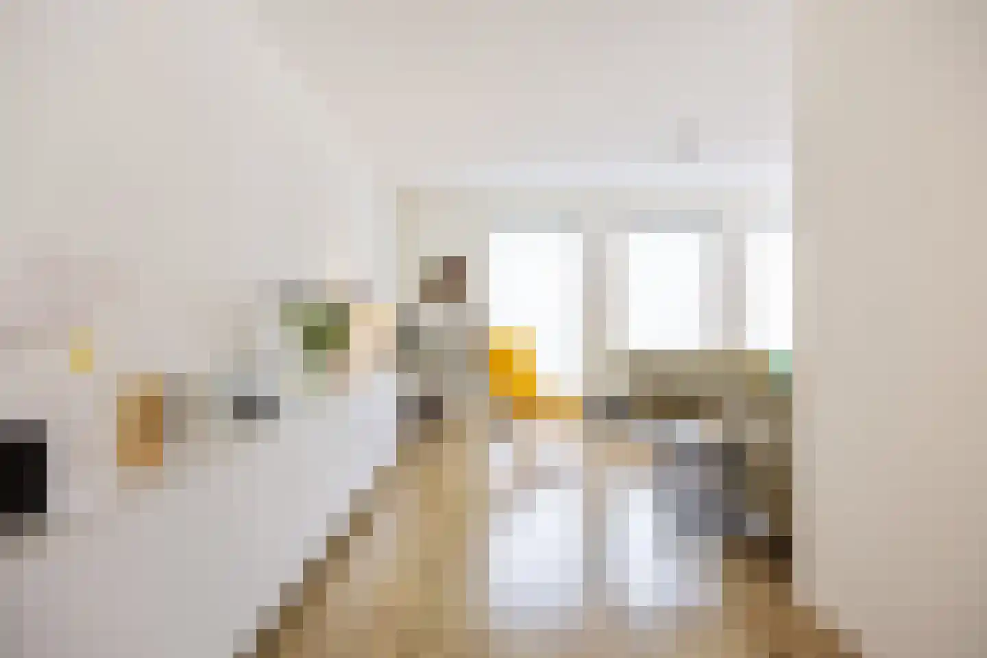 Het Noorderlicht 18 Zuidhorn thumbnail 5