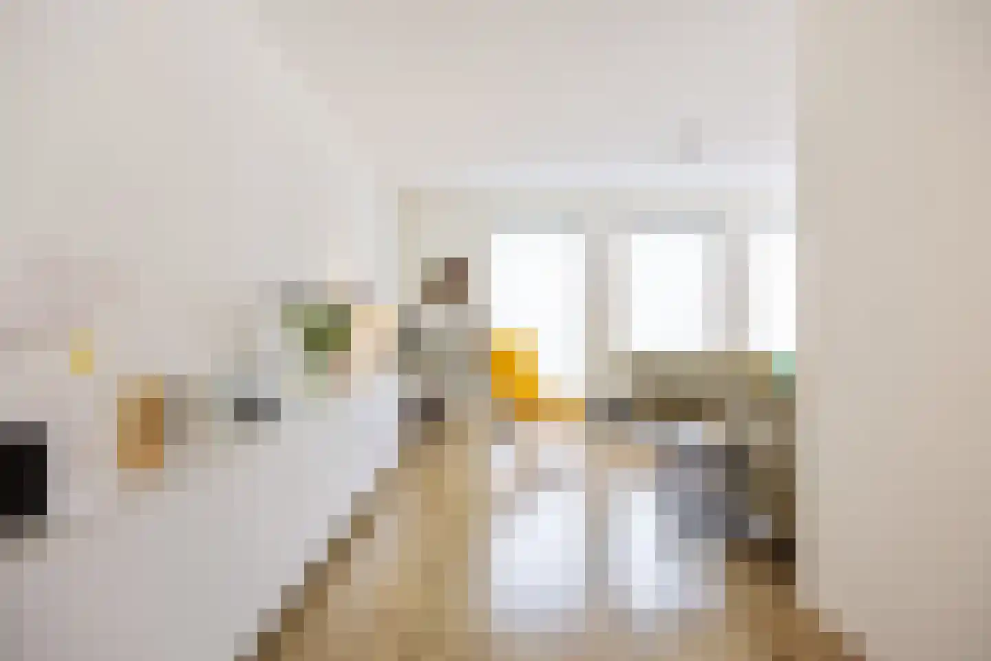 Het Noorderlicht 18 Zuidhorn thumbnail 5
