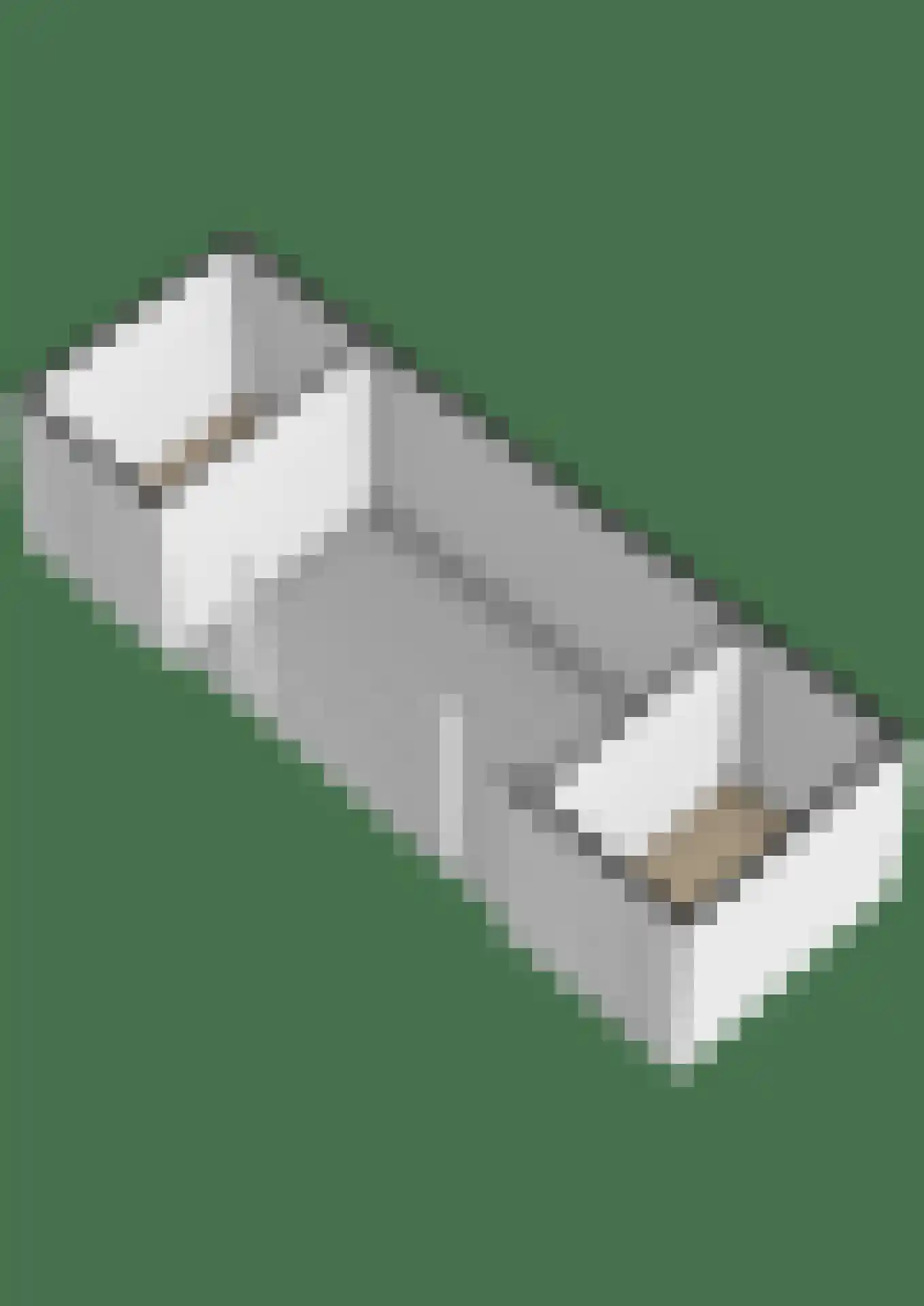 Het Noorderlicht 18 Zuidhorn thumbnail 57