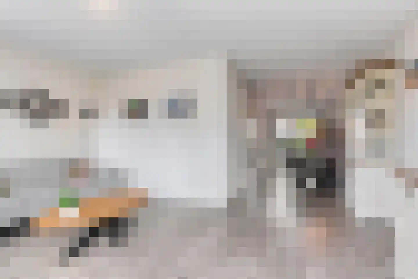 Het Noorderlicht 2 Zuidhorn thumbnail 10
