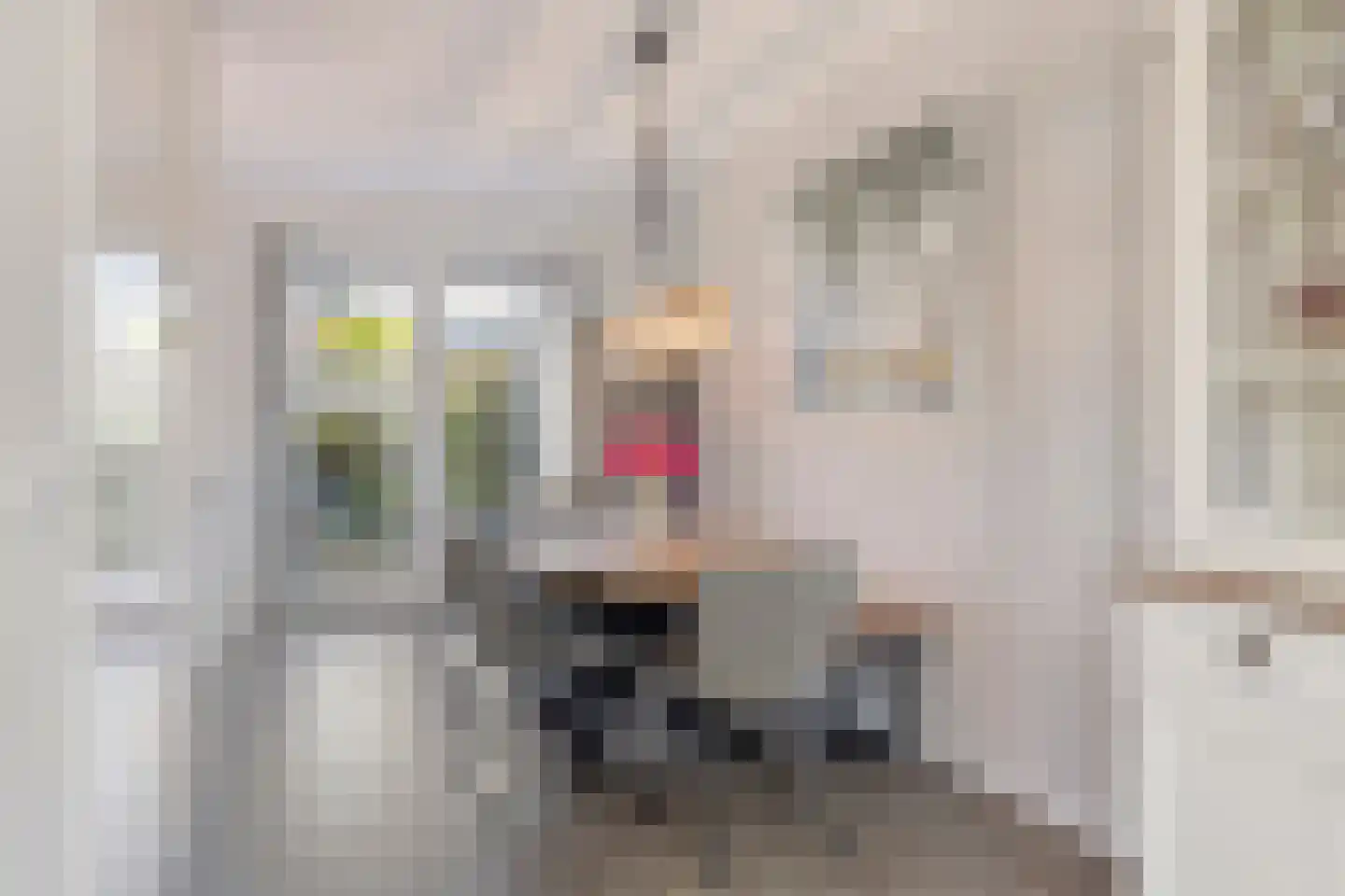 Het Noorderlicht 2 Zuidhorn thumbnail 11