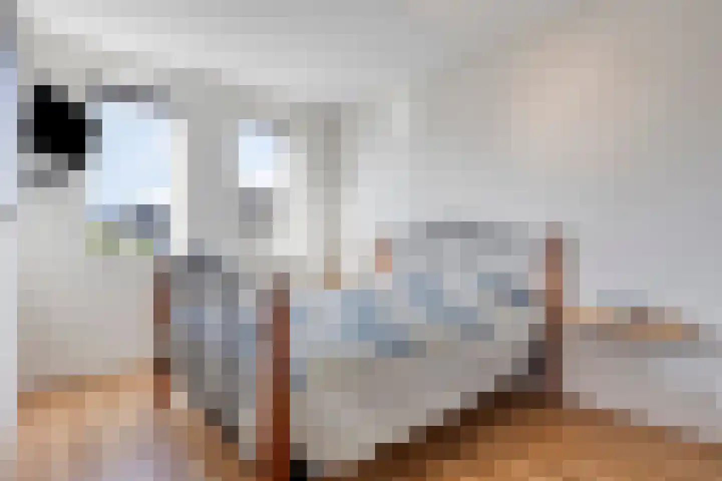 Het Noorderlicht 2 Zuidhorn thumbnail 19
