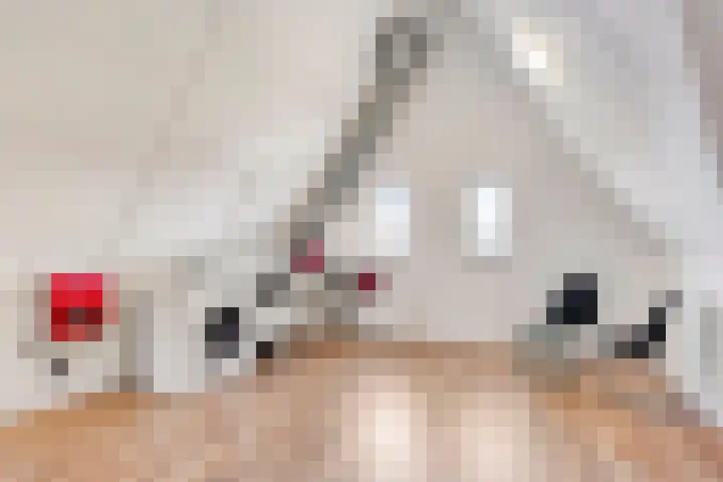 Het Noorderlicht 2 Zuidhorn thumbnail 25