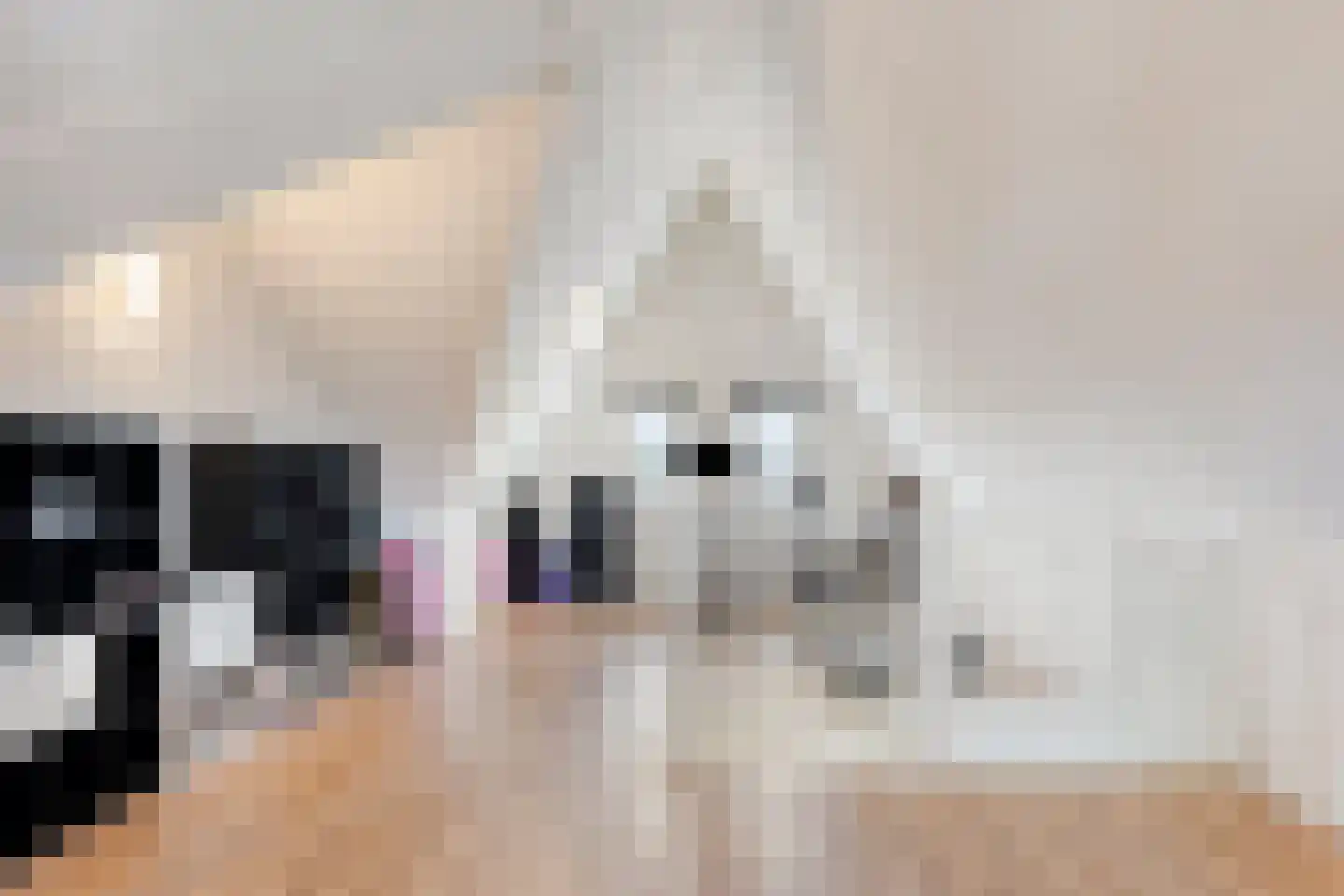 Het Noorderlicht 2 Zuidhorn thumbnail 26