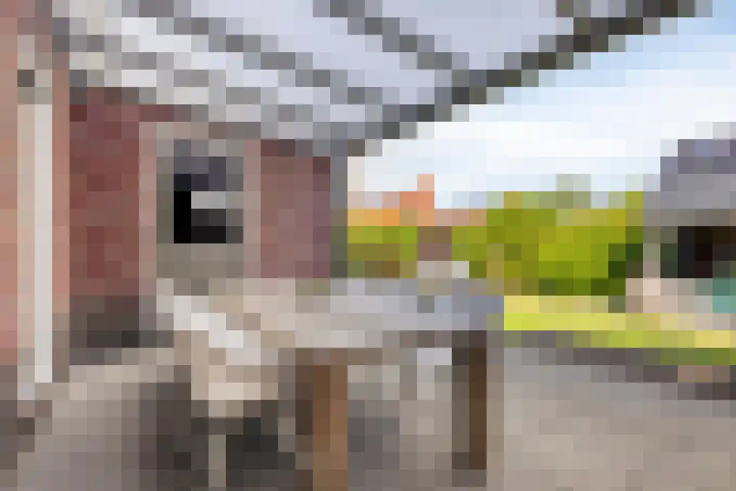 Het Noorderlicht 2 Zuidhorn thumbnail 29