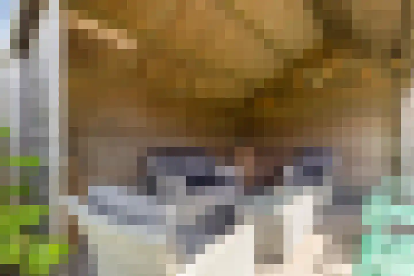 Het Noorderlicht 2 Zuidhorn thumbnail 31